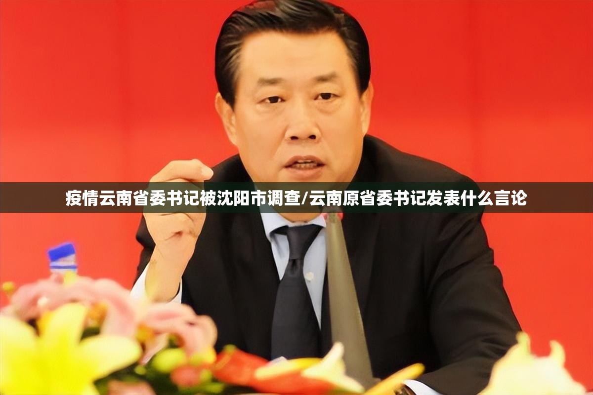 疫情云南省委书记被沈阳市调查/云南原省委书记发表什么言论