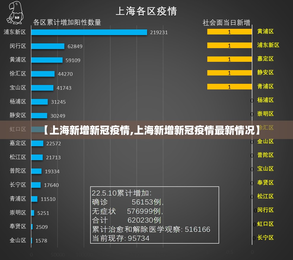 【上海新增新冠疫情,上海新增新冠疫情最新情况】