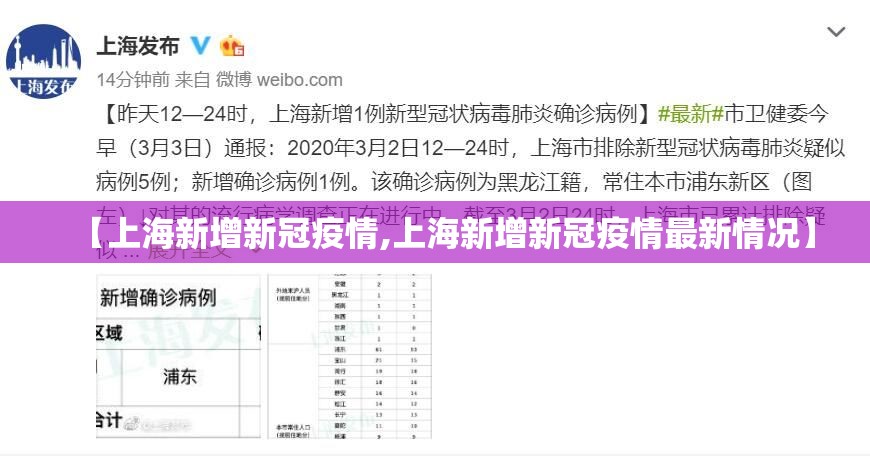 【上海新增新冠疫情,上海新增新冠疫情最新情况】