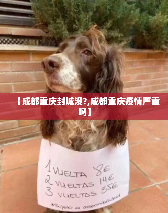 【成都重庆封城没?,成都重庆疫情严重吗】