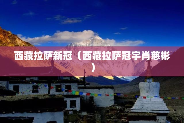 西藏拉萨新冠（西藏拉萨冠宇肖慈彬）