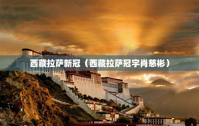 西藏拉萨新冠（西藏拉萨冠宇肖慈彬）
