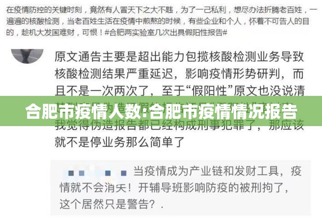 合肥市疫情人数:合肥市疫情情况报告