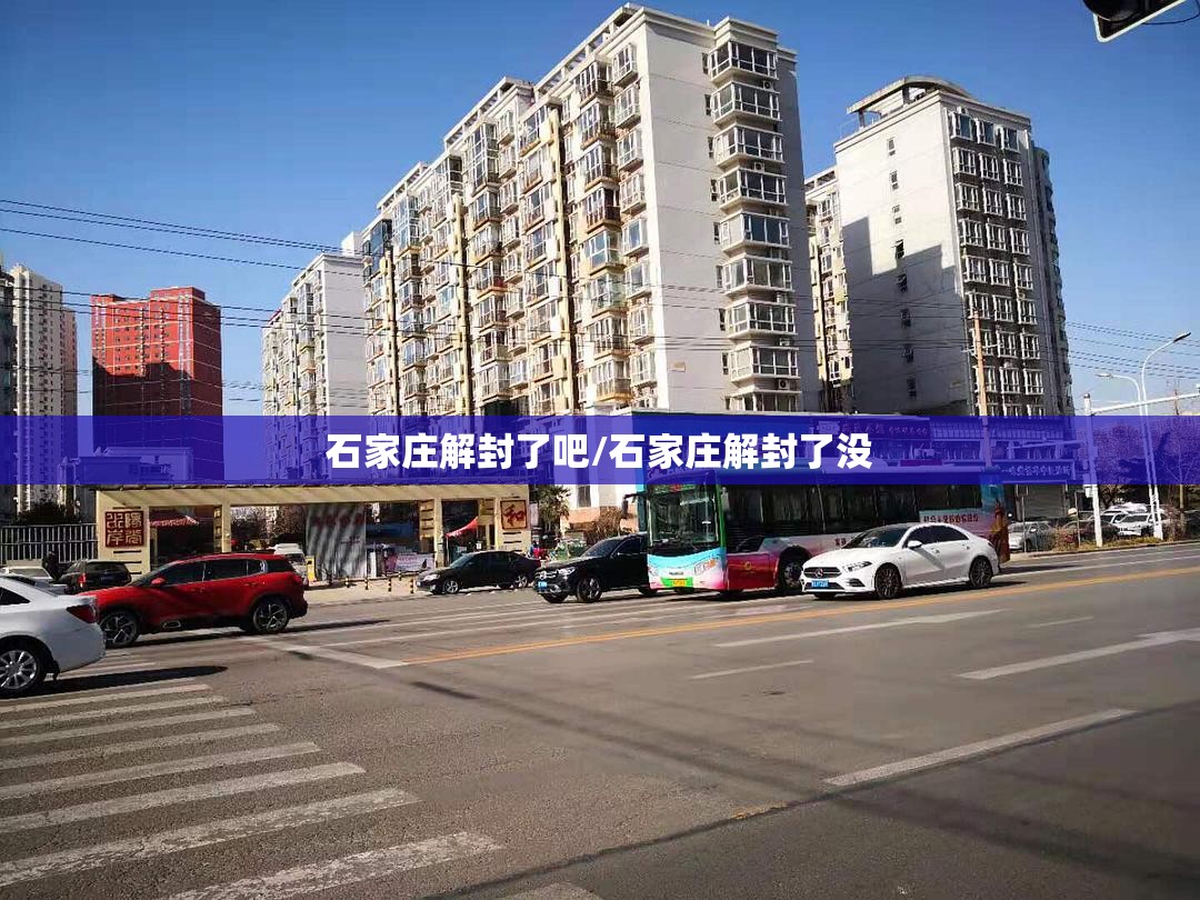 石家庄解封了吧/石家庄解封了没