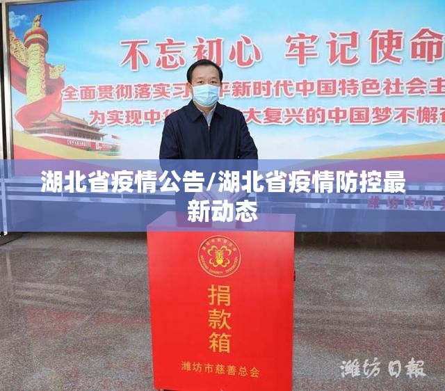 湖北省疫情公告/湖北省疫情防控最新动态