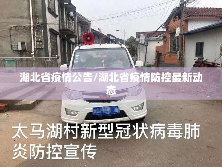 湖北省疫情公告/湖北省疫情防控最新动态
