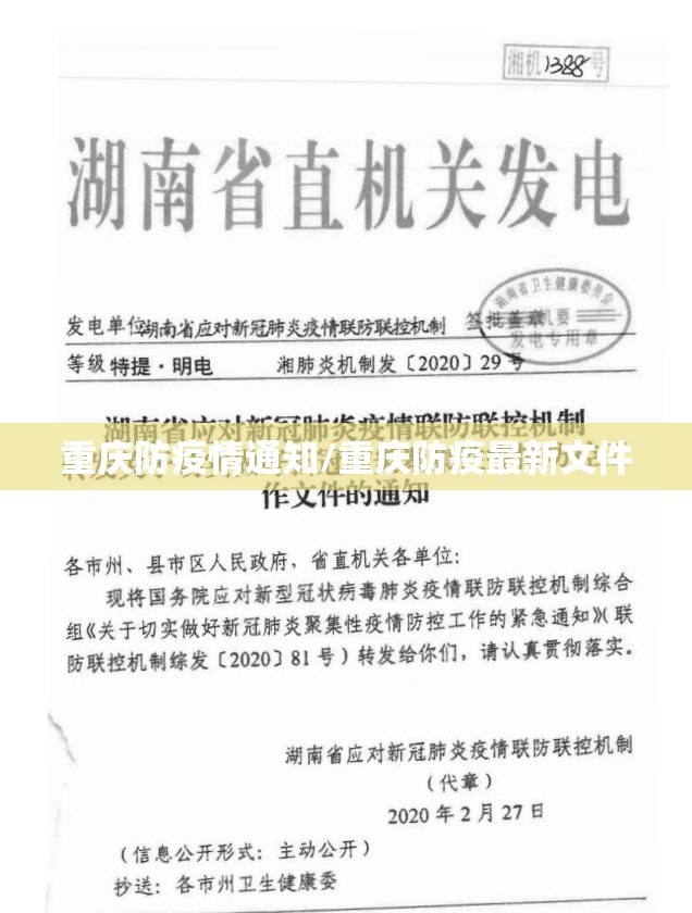 重庆防疫情通知/重庆防疫最新文件