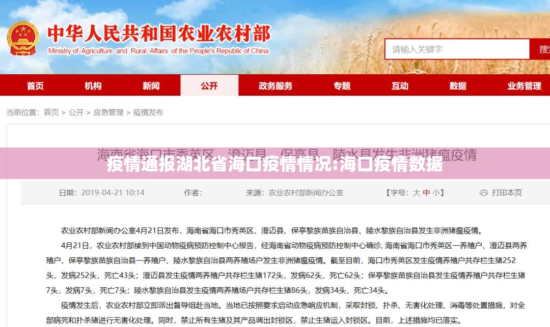 疫情通报湖北省海口疫情情况:海口疫情数据