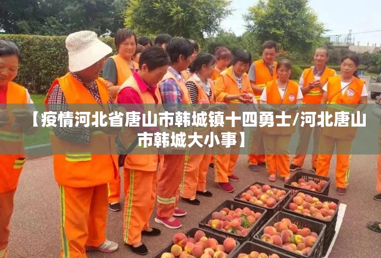【疫情河北省唐山市韩城镇十四勇士/河北唐山市韩城大小事】