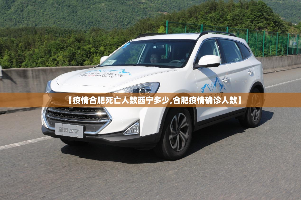 【疫情合肥死亡人数西宁多少,合肥疫情确诊人数】