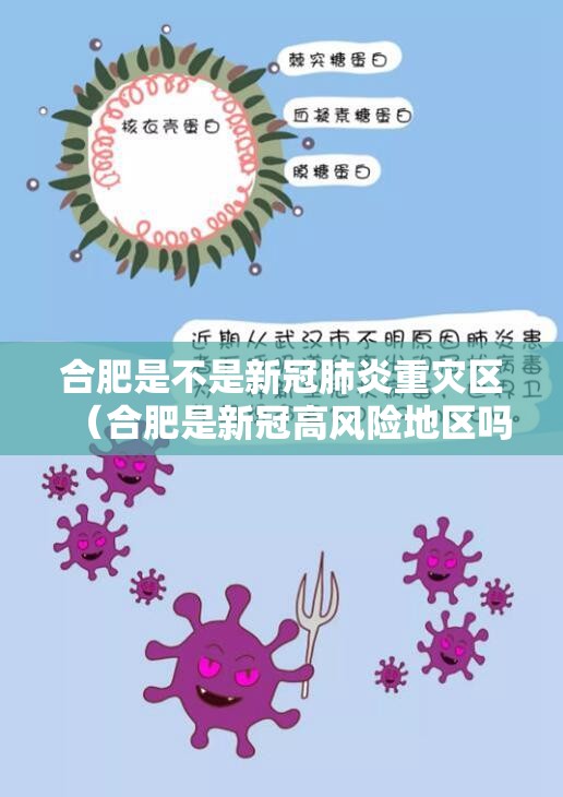 合肥是不是新冠肺炎重灾区（合肥是新冠高风险地区吗）
