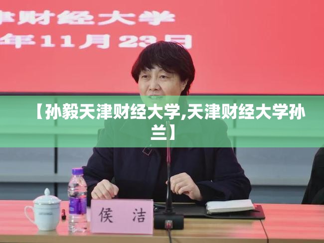 【孙毅天津财经大学,天津财经大学孙兰】