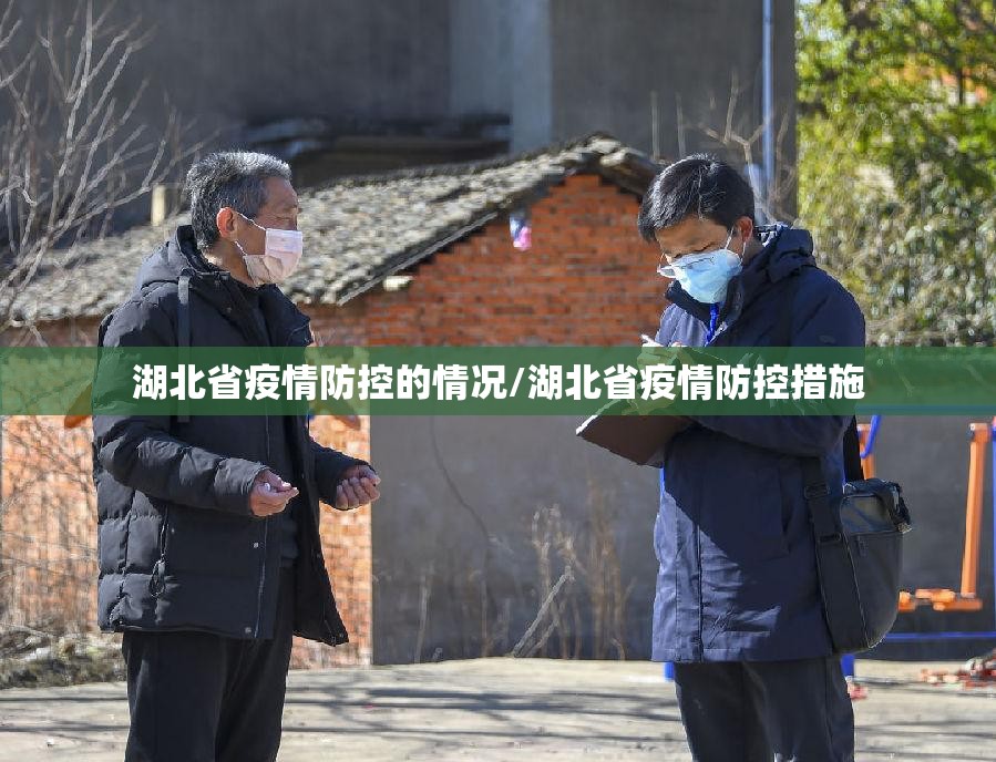 湖北省疫情防控的情况/湖北省疫情防控措施