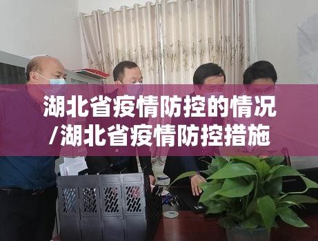 湖北省疫情防控的情况/湖北省疫情防控措施