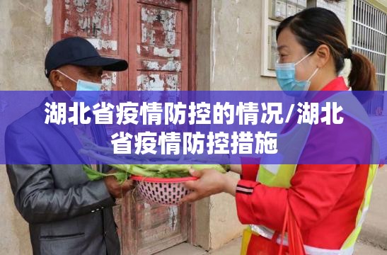 湖北省疫情防控的情况/湖北省疫情防控措施