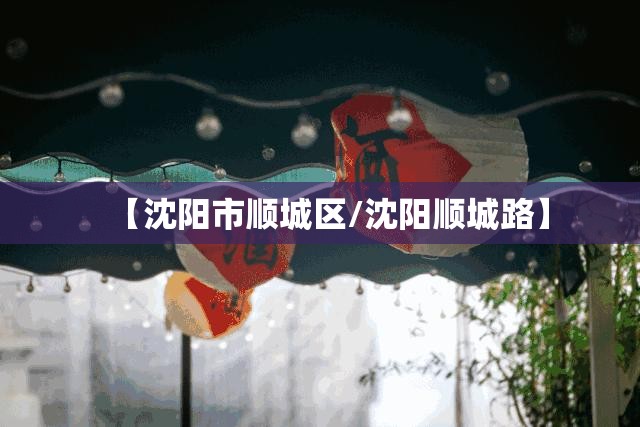 【沈阳市顺城区/沈阳顺城路】