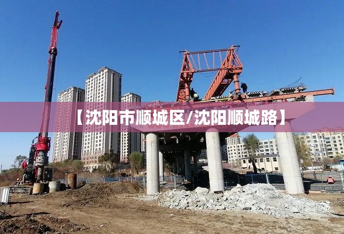 【沈阳市顺城区/沈阳顺城路】