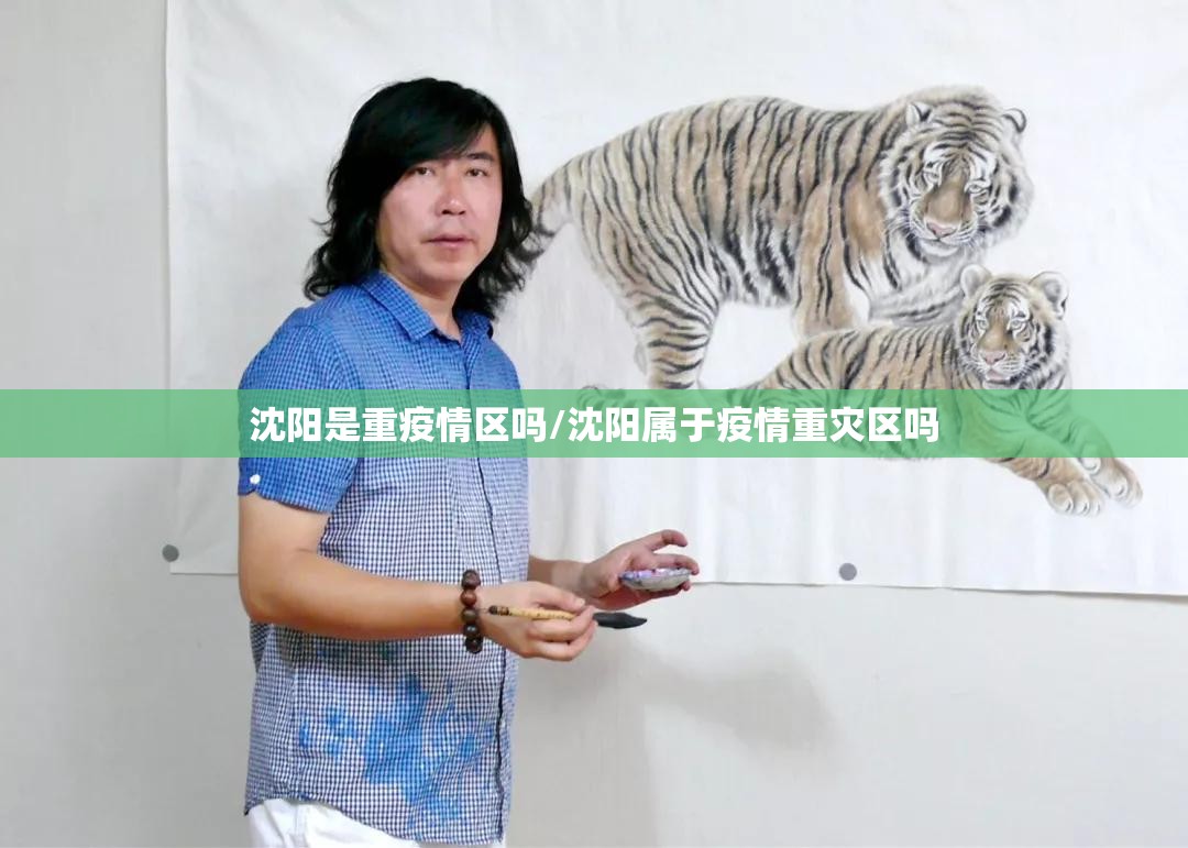 沈阳是重疫情区吗/沈阳属于疫情重灾区吗