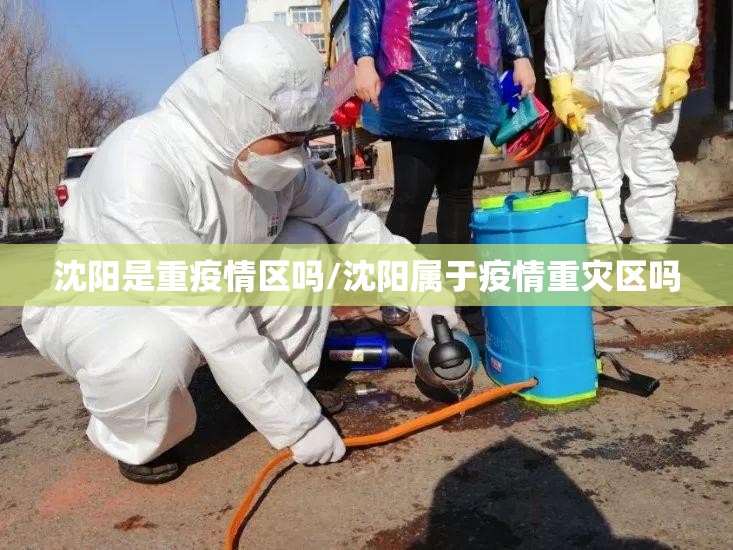 沈阳是重疫情区吗/沈阳属于疫情重灾区吗