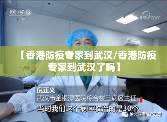 【香港防疫专家到武汉/香港防疫专家到武汉了吗】