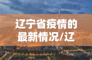 辽宁省疫情的最新情况/辽宁省疫情的最新情况最新消息