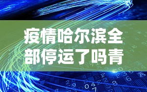 疫情哈尔滨全部停运了吗青海省（哈尔滨疫情关闭）