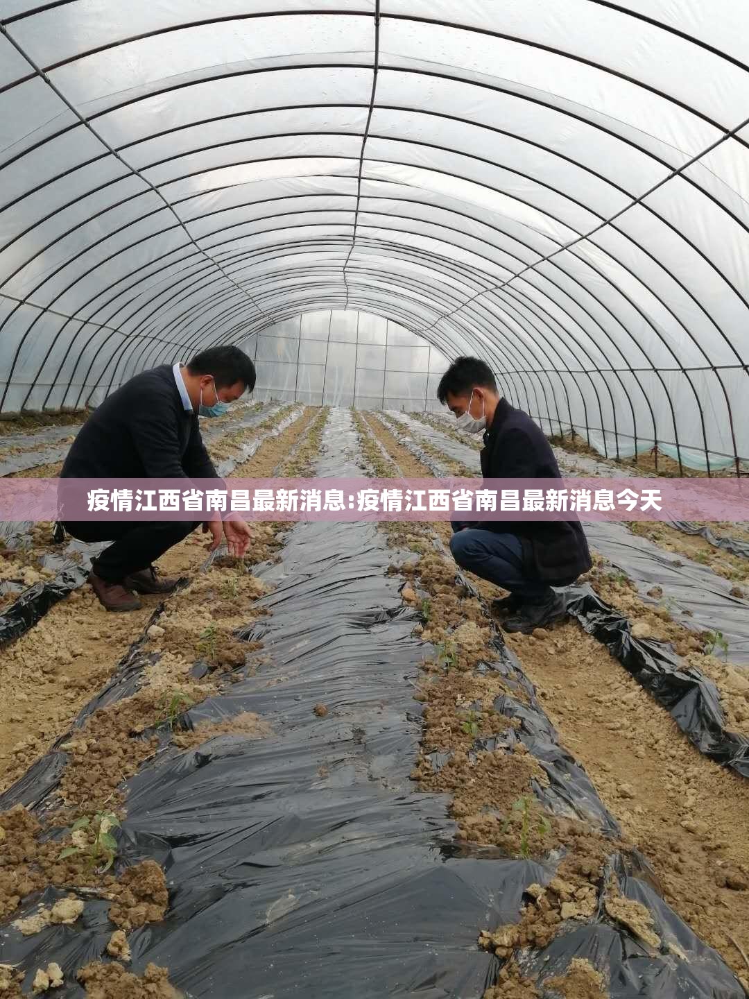 疫情江西省南昌最新消息:疫情江西省南昌最新消息今天