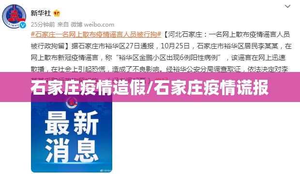 石家庄疫情造假/石家庄疫情谎报