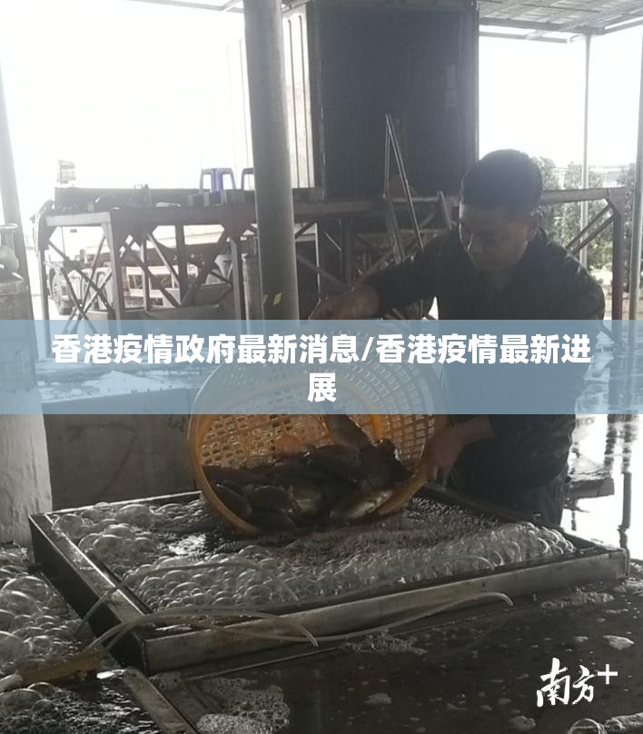 香港疫情政府最新消息/香港疫情最新进展