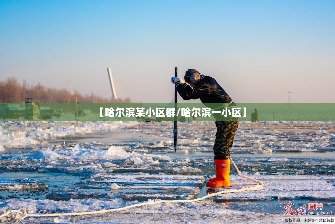 【哈尔滨某小区群/哈尔滨一小区】