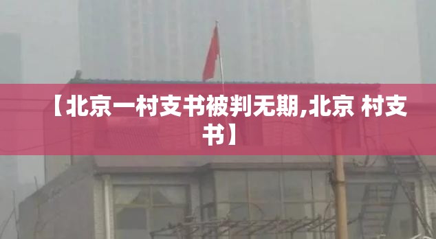 【北京一村支书被判无期,北京 村支书】