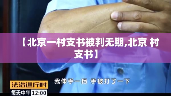 【北京一村支书被判无期,北京 村支书】