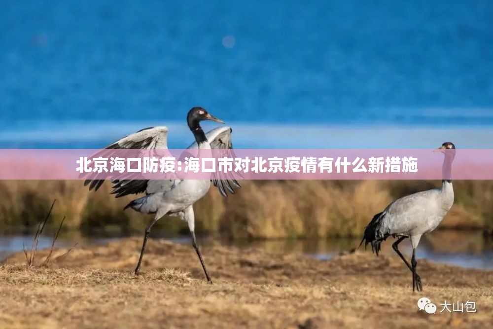 北京海口防疫:海口市对北京疫情有什么新措施