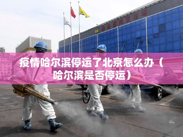 疫情哈尔滨停运了北京怎么办（哈尔滨是否停运）