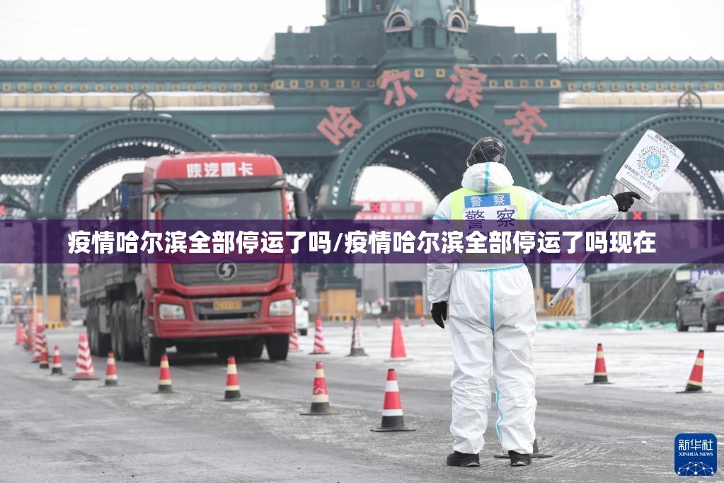 疫情哈尔滨全部停运了吗/疫情哈尔滨全部停运了吗现在