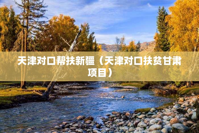 天津对口帮扶新疆（天津对口扶贫甘肃项目）