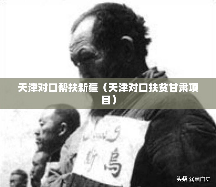 天津对口帮扶新疆（天津对口扶贫甘肃项目）