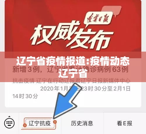 辽宁省疫情报道:疫情动态辽宁省