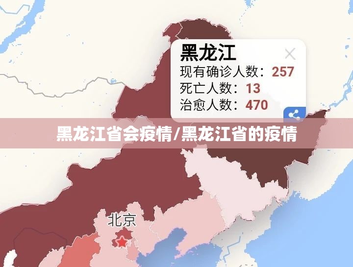 黑龙江省会疫情/黑龙江省的疫情
