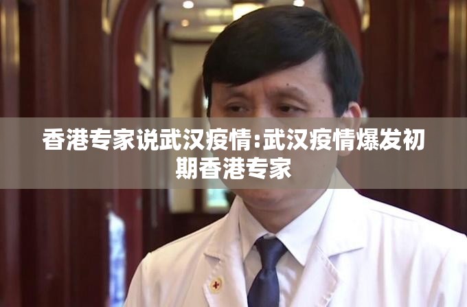 香港专家说武汉疫情:武汉疫情爆发初期香港专家