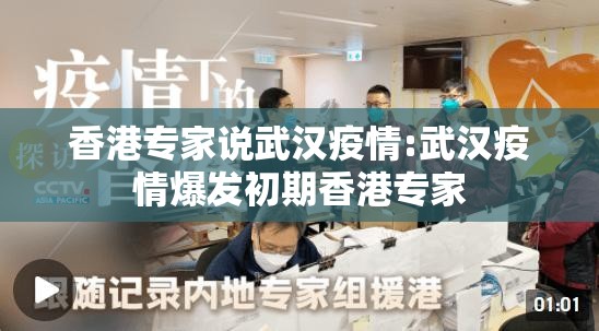 香港专家说武汉疫情:武汉疫情爆发初期香港专家
