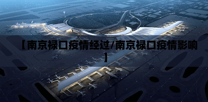 【南京禄口疫情经过/南京禄口疫情影响】