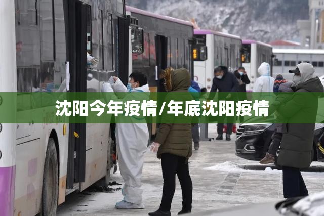 沈阳今年疫情/年底沈阳疫情