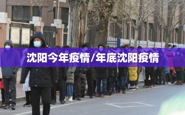 沈阳今年疫情/年底沈阳疫情