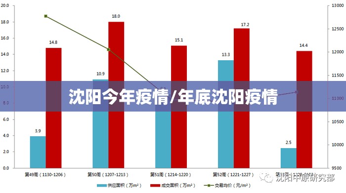 沈阳今年疫情/年底沈阳疫情