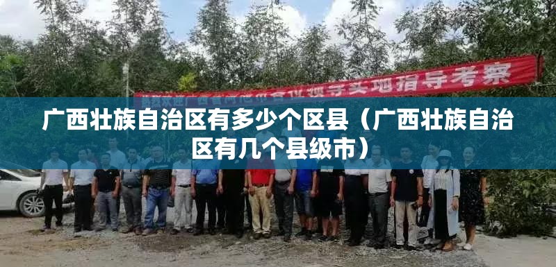 广西壮族自治区有多少个区县（广西壮族自治区有几个县级市）