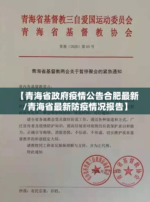 【青海省政府疫情公告合肥最新/青海省最新防疫情况报告】