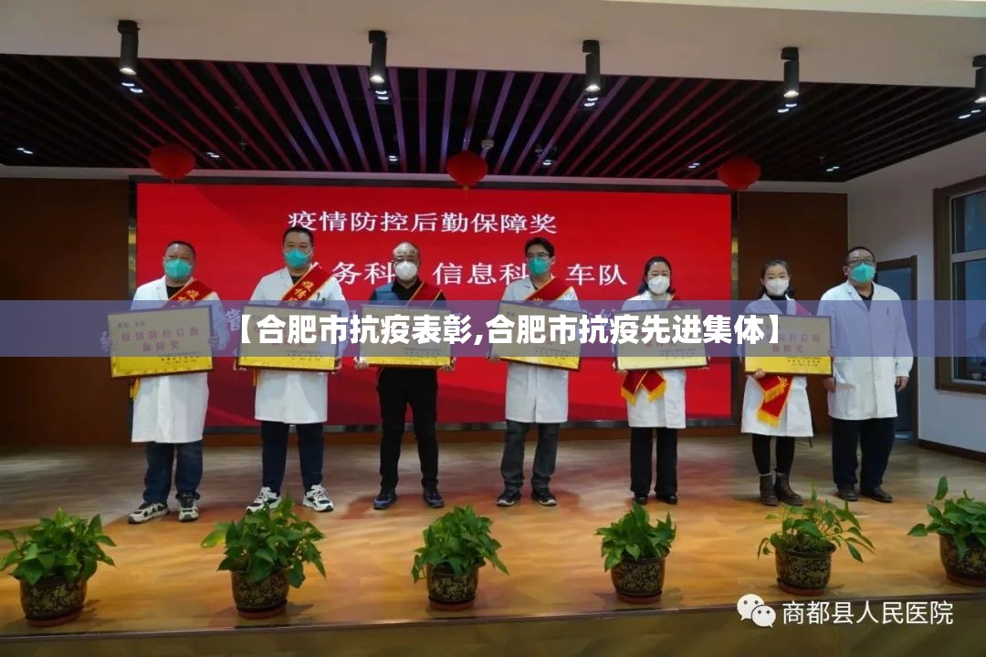 【合肥市抗疫表彰,合肥市抗疫先进集体】