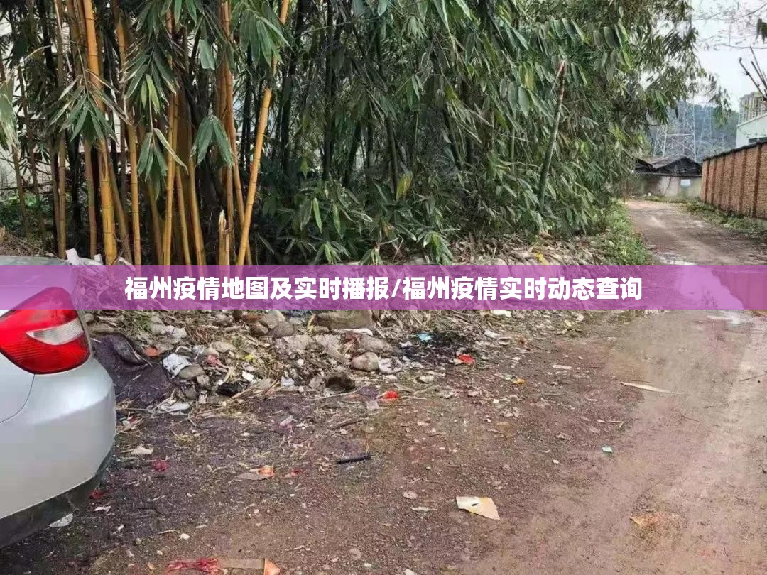 福州疫情地图及实时播报/福州疫情实时动态查询