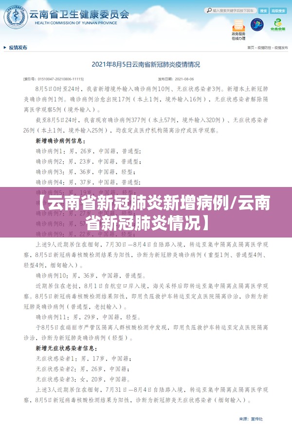 【云南省新冠肺炎新增病例/云南省新冠肺炎情况】